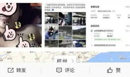 著名歌手爆料视频大全最新,歌手爆料视频大全，独家幕后故事大公开